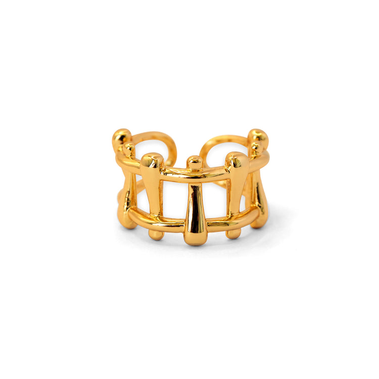 Anillos