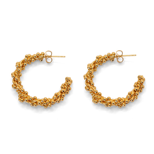Dos Aros Zuhur PNG - Oasis Blanco